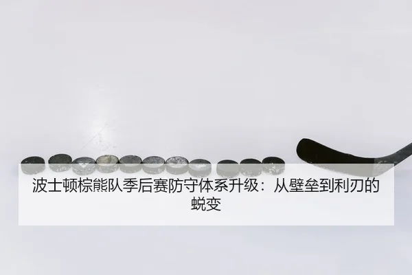 波士顿棕熊队季后赛防守体系升级：从壁垒到利刃的蜕变